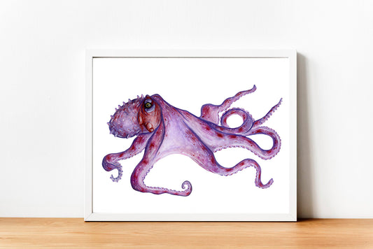 Octopus Fine Art Print