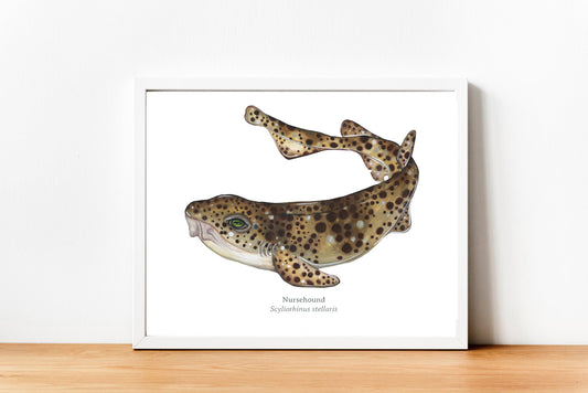 Nursehound Fine Art Print
