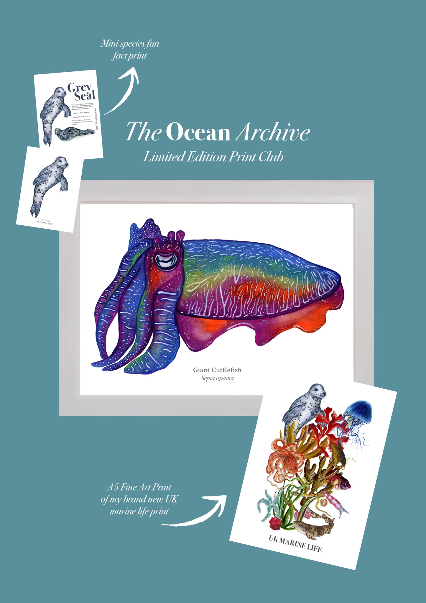 The Ocean Archive