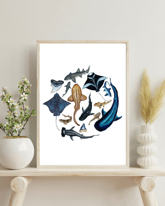 The School of Sharks Fine Art Print