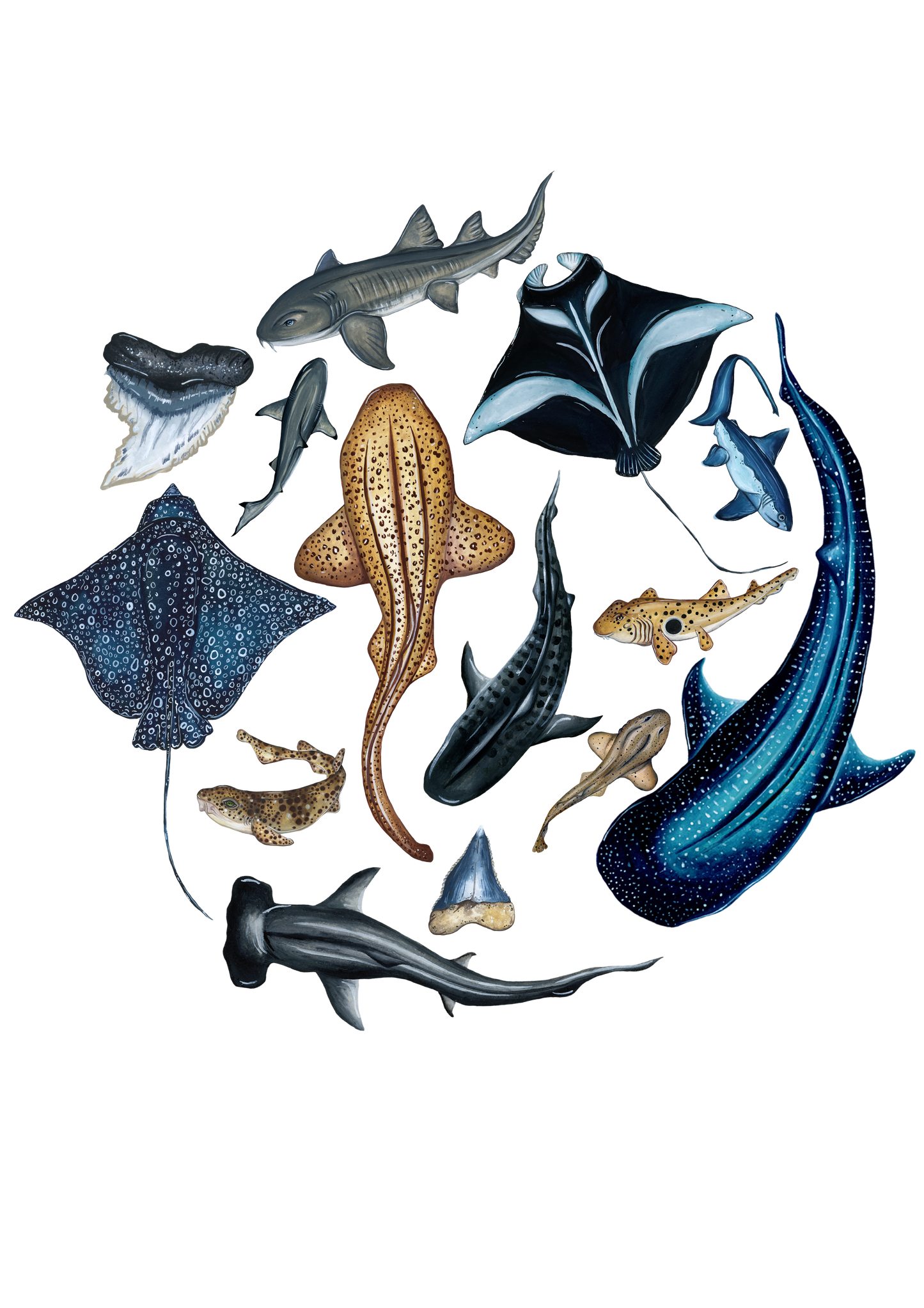 The School of Sharks Fine Art Print