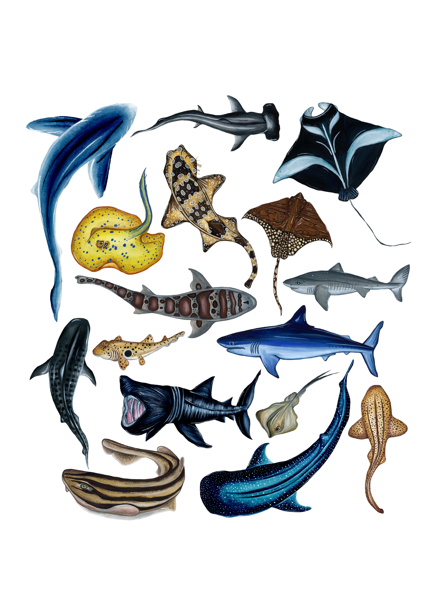 The Shark Week Fine Art Print